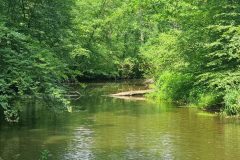 Meanderende rivier De Dinkel bij Landgoed Singraven © Vakantiegroeten.nl