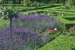 Lavendel en andere bloemen in Prinsentuin Groningen © Vakantiegroeten.nl