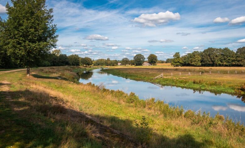 De-Regge-in-het-Vechtdal-bij-Ommen-©-Hulshof-pictures-Shutterstock.com