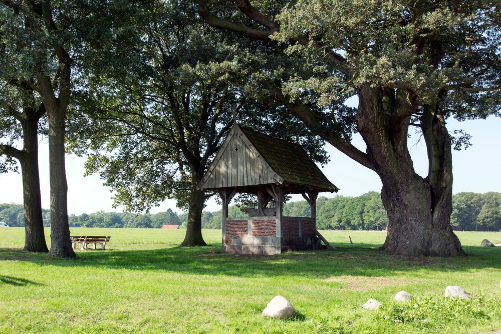 Kroezenboom-Twente-met-kapel-©-C.-Welman-Shutterstock.com