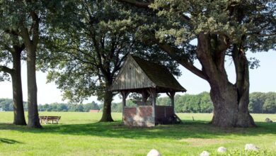 Kroezenboom-Twente-met-kapel-©-C.-Welman-Shutterstock.com