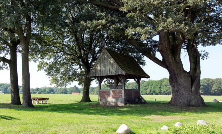 Kroezenboom-Twente-met-kapel-©-C.-Welman-Shutterstock.com