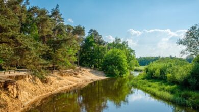 Twente-Lutterzand-De-Dinkel-©-Chris-Rinckes-Shutterstock.com