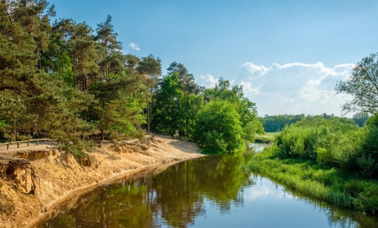 Twente-Lutterzand-De-Dinkel-©-Chris-Rinckes-Shutterstock.com