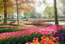 Keukenhof 2025