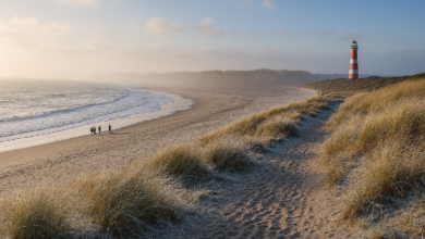 Weekendje weg in Nederland: wandelen op de Veluwe en genieten van het strand in Zeeland