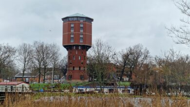 Zonnige decemberdag in Nederland met recordtemperatuur
