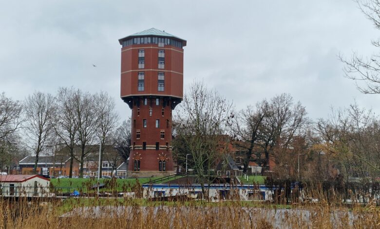 Zonnige decemberdag in Nederland met recordtemperatuur