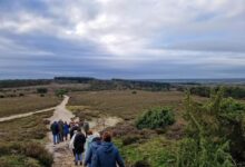 Wandelaars lopen over een winterse heide op de Lemelerberg met uitzicht op bos en open landschap.