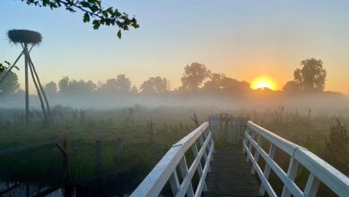 Wandelen in het Reestdal Hemelvaartsdag