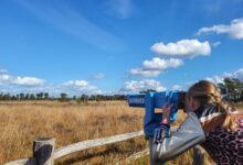 Natte heide en poelen in natuurgebied Boetelerveld bij Mariënheem