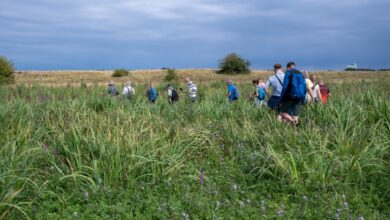 Natuur langs de IJssel met uiterwaarden en groen rivierlandschap in Overijssel