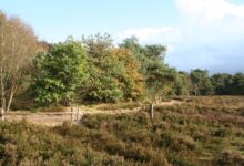 Herfstlandschap in de Haardennen en het Heuveltjesbos bij Balkbrug in het Reestdal