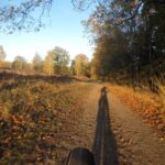 Mountainbikers rijden over een bospad op de Veluwe