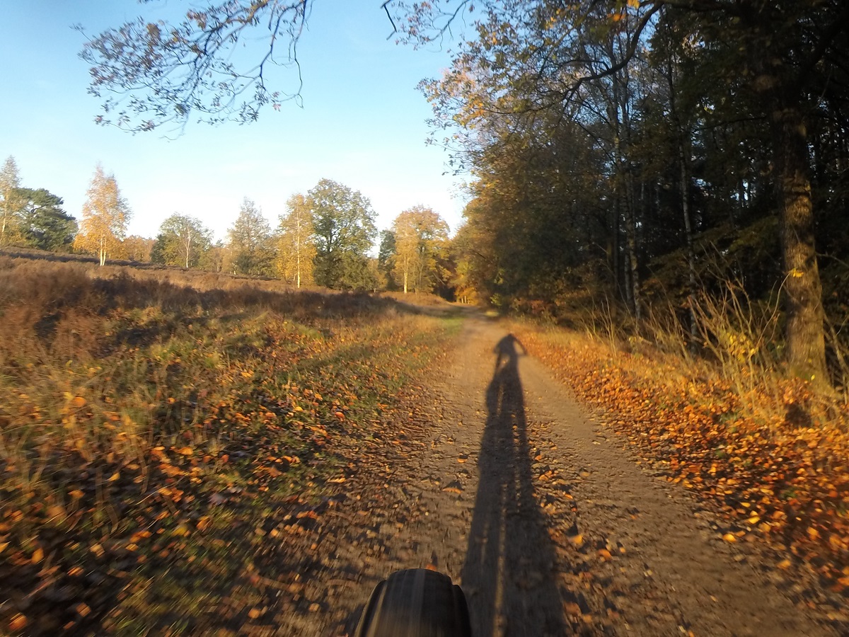Mountainbikers rijden over een bospad op de Veluwe