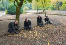 Tuinmannen van Keukenhof planten bloembollen voor het seizoen 2027